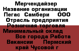 Мерчендайзер › Название организации ­ "Пегас" Самбери-3, ООО › Отрасль предприятия ­ Розничная торговля › Минимальный оклад ­ 23 500 - Все города Работа » Вакансии   . Пермский край,Чусовой г.